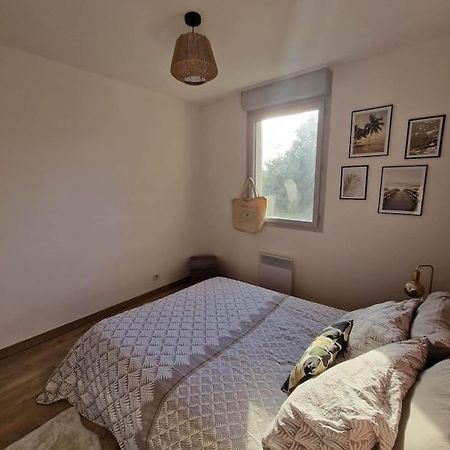 Appartement Cosy Oloron, Aux Pieds Des Pyrenees Et De L'Atlantique! Exteriér fotografie