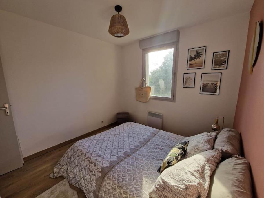 Appartement Cosy Oloron, Aux Pieds Des Pyrenees Et De L'Atlantique! Exteriér fotografie
